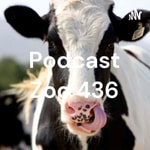 Podcast Podcast Zoo 436