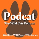 Logo of the podcast Podcat: The Wild Cats Podcast Podcast Podcat: The Wild Cats Podcast