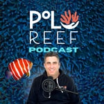 Logo of the podcast Polo Reef the Podcast Podcast Polo Reef the Podcast