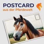 Logo of the podcast Postcard aus der Pferdewelt Podcast Postcard aus der Pferdewelt