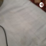 Logo of the podcast Pp Podcast Pp