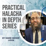 Logo of the podcast Practical Halacha In Depth Series - Rabbi Moshe Levin Podcast Practical Halacha In Depth Series - Rabbi Moshe Levin