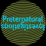 Logo of the podcast Preternatural Investigations Podcast Preternatural Investigations