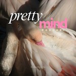 Logo of the podcast Pretty Mind Podcast Pretty Mind