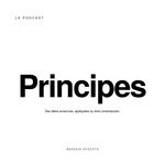 Logo of the podcast Principes Podcast Principes