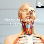 Logo of the podcast Principles Of Anatomy And Physiology: Introduction To The Human Body Logo of the podcast Principles Of Anatomy And Physiology: Introduction To The Human Body