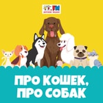 Logo of the podcast Про кошек, про собак