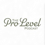 Logo of the podcast Pro Level Podcast Podcast Pro Level Podcast