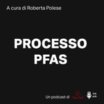 Logo of the podcast Processo PFAS Podcast Processo PFAS