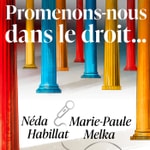 Logo of the podcast Promenons-nous dans le droit... Podcast Promenons-nous dans le droit...