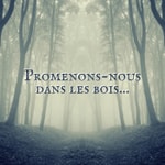 Logo of the podcast Promenons-nous dans les bois Podcast Promenons-nous dans les bois