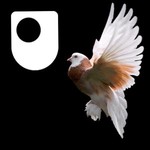 Logo of the podcast Publishing The Origin of Species - for iPad/Mac/PC Podcast Publishing The Origin of Species - for iPad/Mac/PC