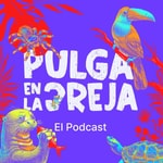 Logo of the podcast Pulga en la Oreja Podcast Pulga en la Oreja
