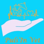 Puls'In Vet Puls'In Vet