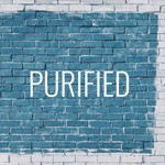 Logo of the podcast PURIFIED Podcast Podcast PURIFIED Podcast