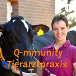 Logo of the podcast Q-mmunity Tierarztpraxis Podcast Q-mmunity Tierarztpraxis