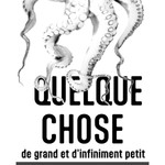 Logo of the podcast Quelque chose de grand et d'infiniment petit Missing podcast logo