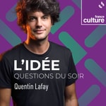 Logo of the podcast Questions du soir : l'idée Podcast Questions du soir : l'idée