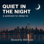 Logo of the podcast Quiet In The Night Podcast Quiet In The Night