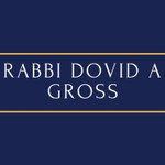 Logo of the podcast Rabbi Dovid A. Gross Podcast Rabbi Dovid A. Gross