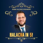 Logo of the podcast Rabbi Eisenberg !B'nai Israel of Norfolk VA-Torah! Podcast Rabbi Eisenberg !B'nai Israel of Norfolk VA-Torah!
