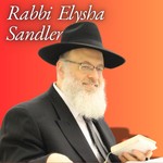 Logo of the podcast Rabbi Elysha Sandler Podcast Rabbi Elysha Sandler
