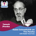 Logo of the podcast Rabbi Soloveitchik on The Parsha Podcast Rabbi Soloveitchik on The Parsha