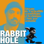 Logo of the podcast Rabbit Hole Podcast Rabbit Hole