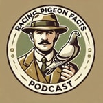 Logo of the podcast Racing Pigeon Facts Podcast Racing Pigeon Facts