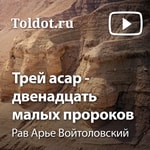 Logo of the podcast Рав Арье Войтоловский — Книга Пророка Ошеа — одного из двенадцати Podcast Рав Арье Войтоловский — Книга Пророка Ошеа — одного из двенадцати