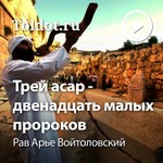 Logo of the podcast Рав Арье Войтоловский — Книга Пророка Ошеа — одного из двенадцати Podcast Рав Арье Войтоловский — Книга Пророка Ошеа — одного из двенадцати