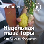 Logo of the podcast Рав Авраам Фридман — Недельная глава Торы Podcast Рав Авраам Фридман — Недельная глава Торы