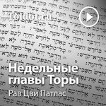 Logo of the podcast Рав Цви Патлас — Недельные главы Торы Podcast Рав Цви Патлас — Недельные главы Торы