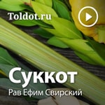 Logo of the podcast Рав Ефим Свирский — Суккот Podcast Рав Ефим Свирский — Суккот