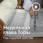 Logo of the podcast Рав Гедалия Шестак — Недельная глава Торы Podcast Рав Гедалия Шестак — Недельная глава Торы