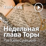 Logo of the podcast Рав Хаим Суницкий — Недельные главы Торы Podcast Рав Хаим Суницкий — Недельные главы Торы