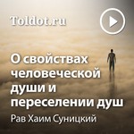 Logo of the podcast Рав Хаим Суницкий — О свойствах человеческой души и о переселении д Podcast Рав Хаим Суницкий — О свойствах человеческой души и о переселении д