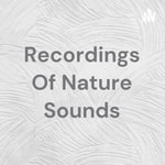 Logo of the podcast Recordings Of Nature Sounds Podcast Recordings Of Nature Sounds