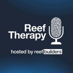 Reef Therapy by Reef Builders Podcast Reef Therapy by Reef Builders