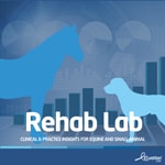 Logo of the podcast Rehab Lab Powered By The PiezoWave2T Podcast Rehab Lab Powered By The PiezoWave2T