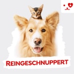 Logo of the podcast Reingeschnuppert Podcast Reingeschnuppert