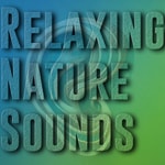 Logo of the podcast Relaxing Nature Sounds Podcast Relaxing Nature Sounds