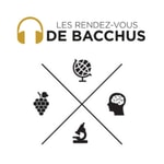Logo of the podcast Rendez-vous de Bacchus / Institut Georges Chappaz Podcast Rendez-vous de Bacchus / Institut Georges Chappaz