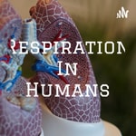 Podcast Respiration In Humans