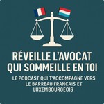 Logo of the podcast Réveille l'avocat qui sommeille en toi Podcast Réveille l'avocat qui sommeille en toi