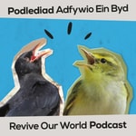 Revive Our World Revive Our World