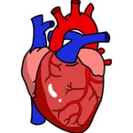 Rhesus Medicine Podcast - Medical Education 