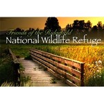 Logo of the podcast Ridgefield National Wildlife Refuge Auto Tour - Ridgefield, WA Missing podcast logo