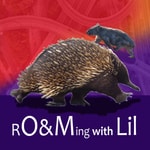 Podcast RO&Ming with Lil