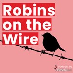 Logo of the podcast Robins on the Wire Podcast Robins on the Wire